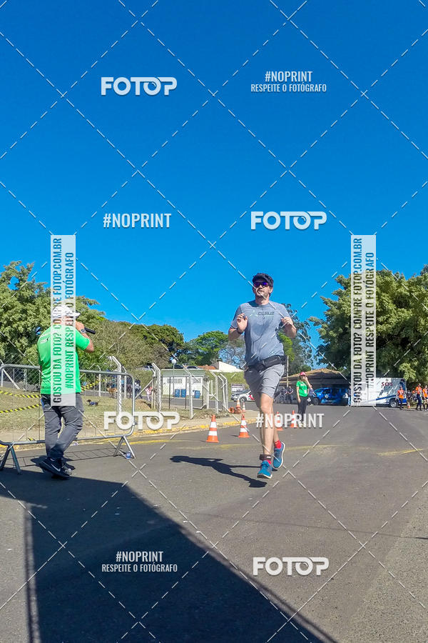 Buy your photos of the eventWolf Series - Botucatu on Fotop