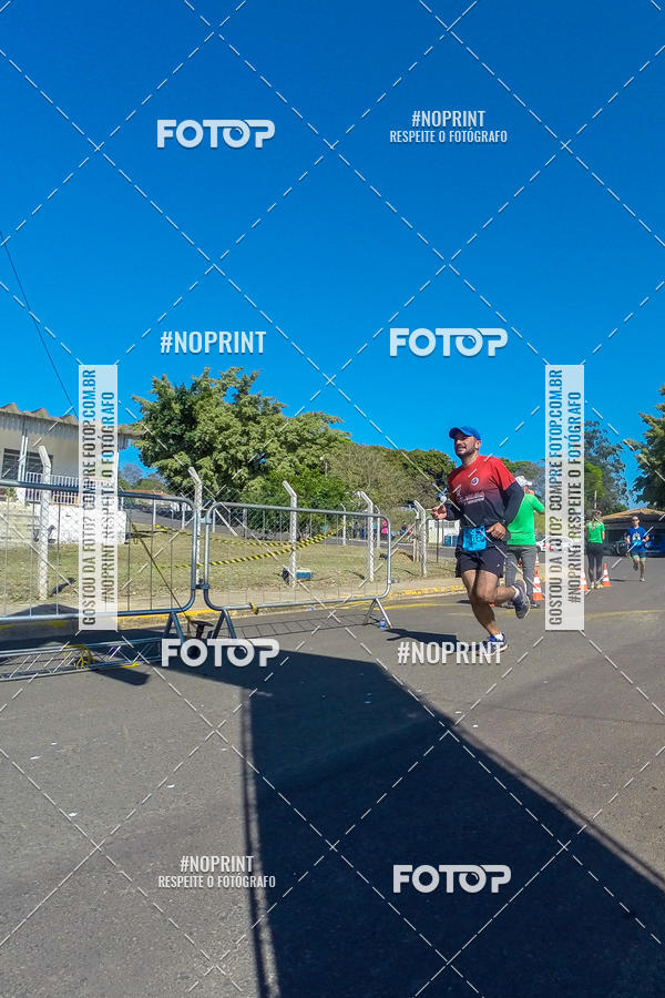 Buy your photos of the eventWolf Series - Botucatu on Fotop