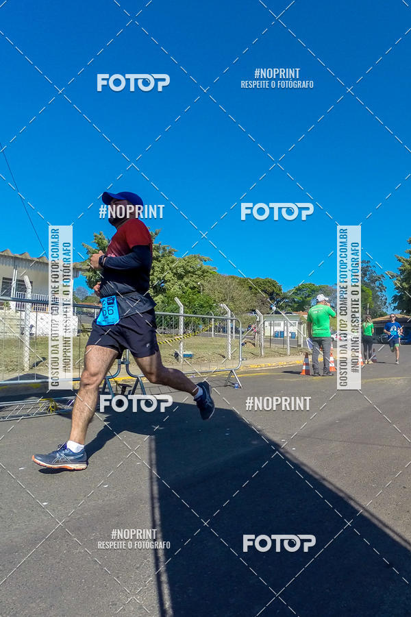 Buy your photos of the eventWolf Series - Botucatu on Fotop