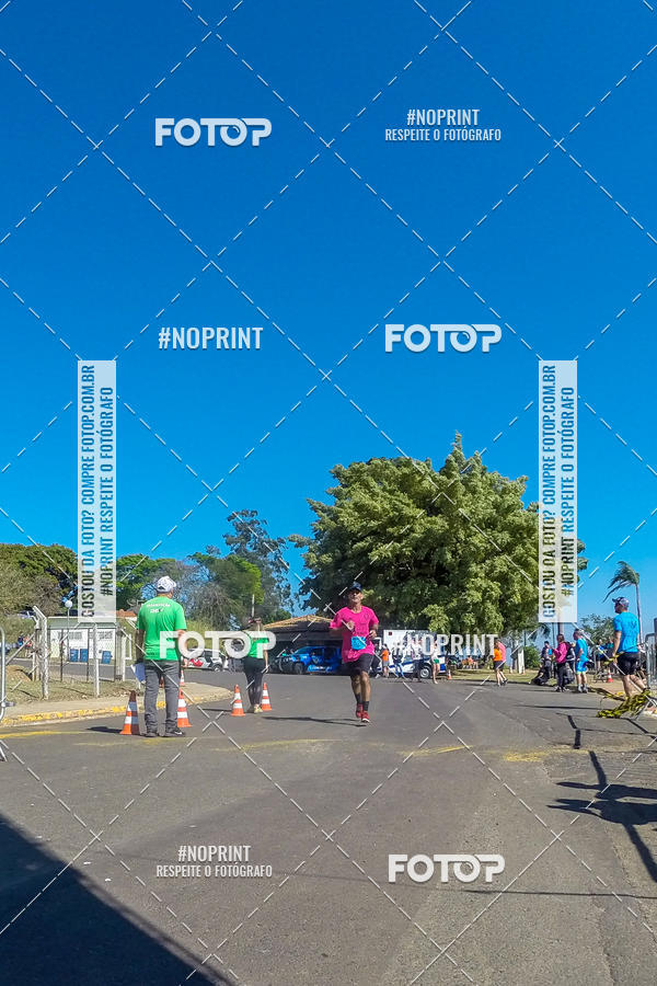 Buy your photos of the eventWolf Series - Botucatu on Fotop