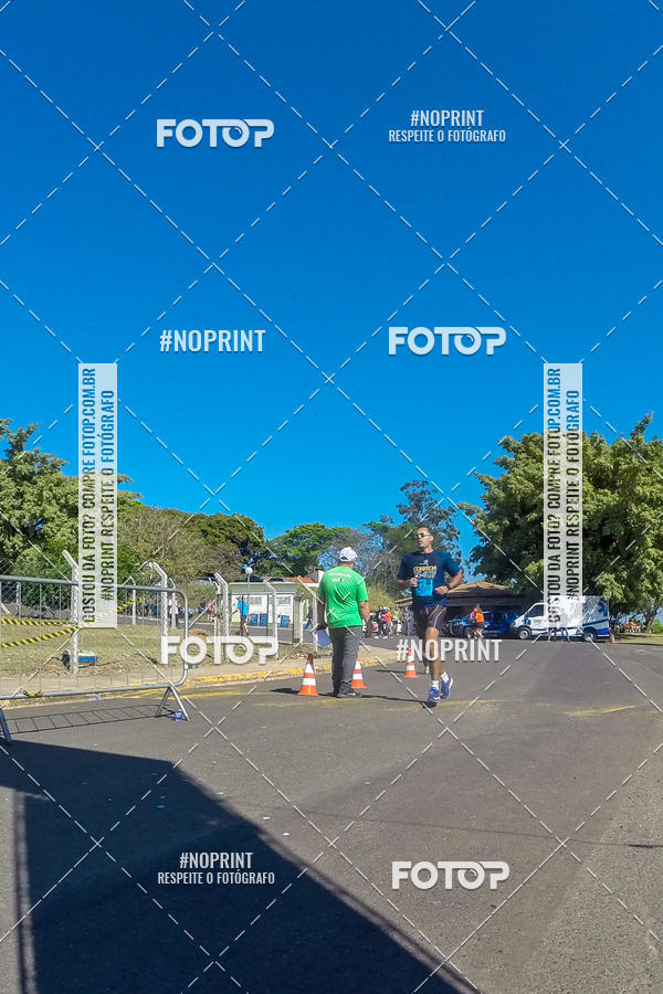 Buy your photos of the eventWolf Series - Botucatu on Fotop