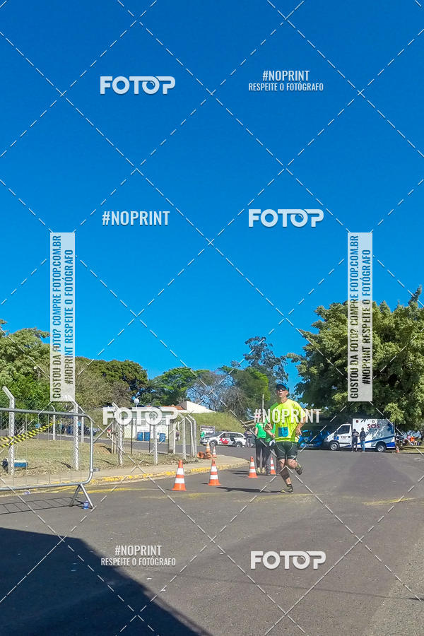 Buy your photos of the eventWolf Series - Botucatu on Fotop