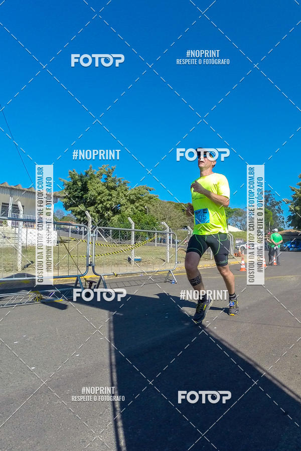 Buy your photos of the eventWolf Series - Botucatu on Fotop