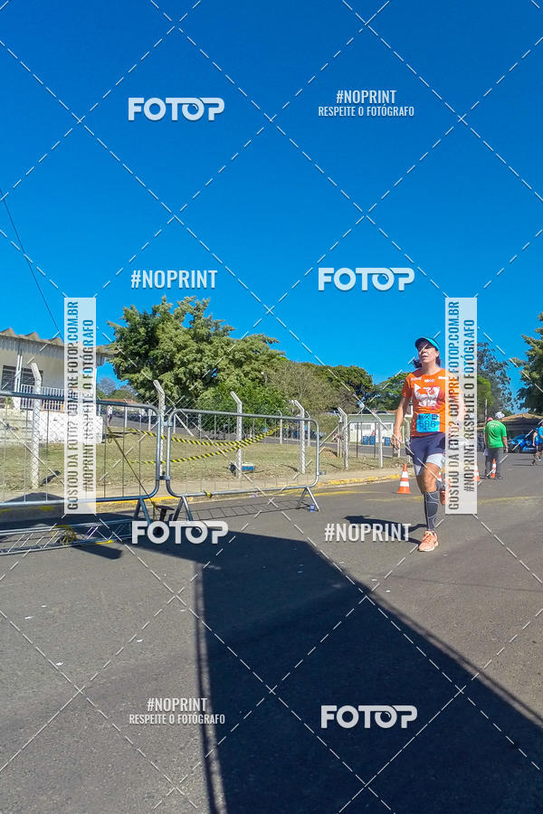 Buy your photos of the eventWolf Series - Botucatu on Fotop