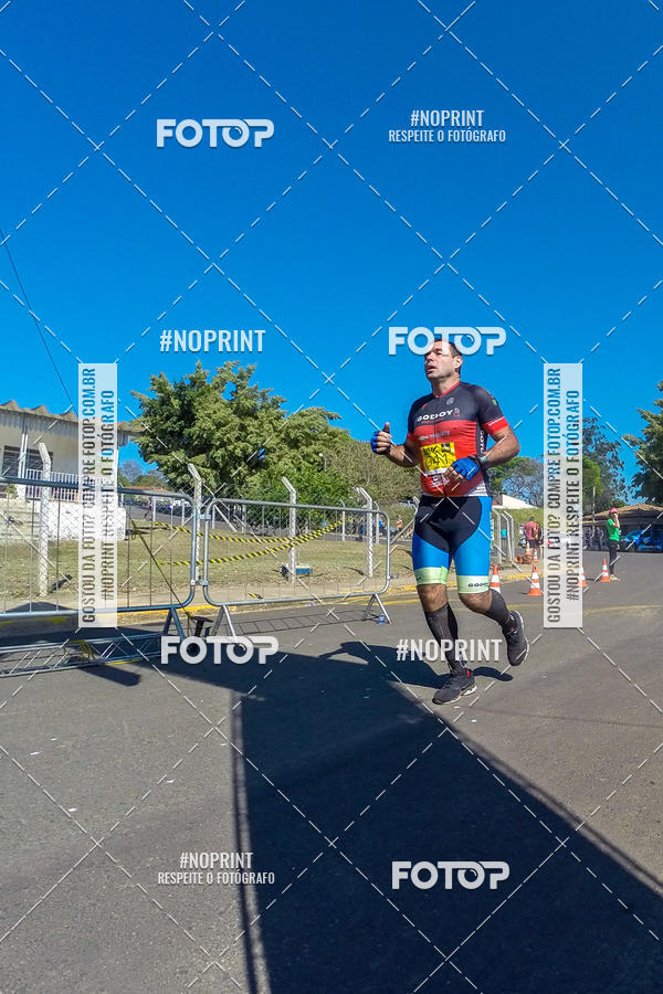 Buy your photos of the eventWolf Series - Botucatu on Fotop