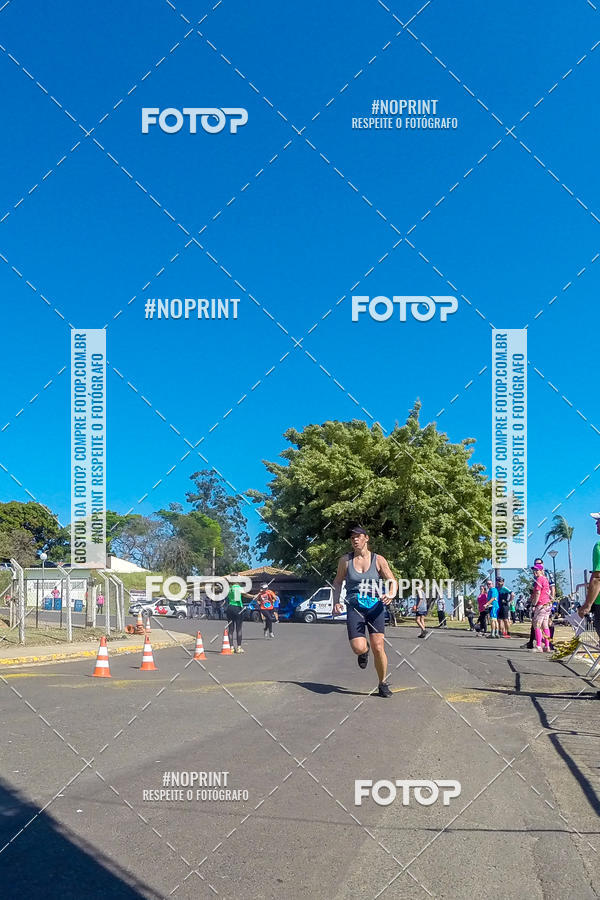 Buy your photos of the eventWolf Series - Botucatu on Fotop