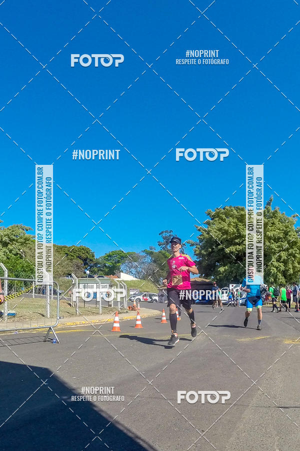 Buy your photos of the eventWolf Series - Botucatu on Fotop