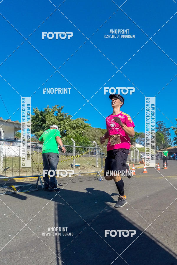 Buy your photos of the eventWolf Series - Botucatu on Fotop