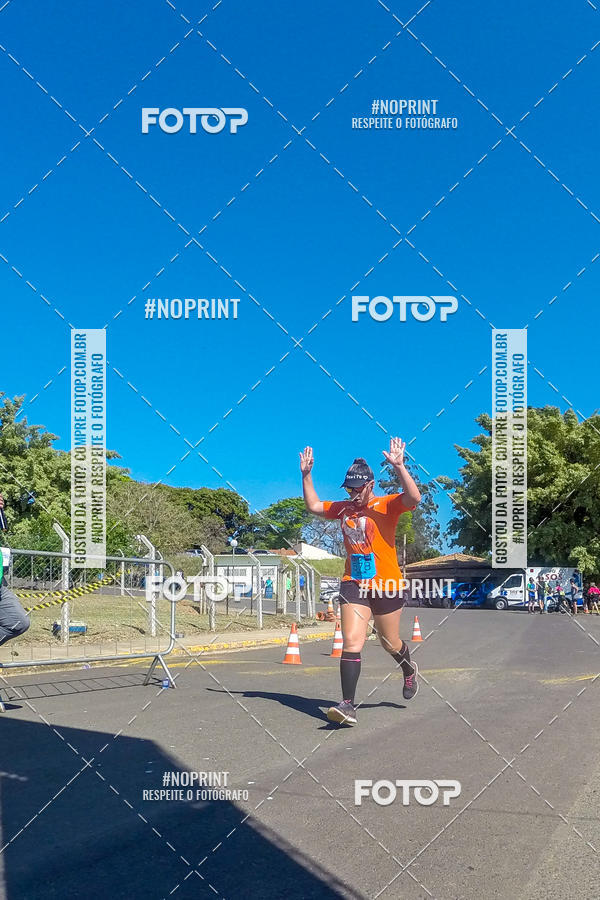 Buy your photos of the eventWolf Series - Botucatu on Fotop