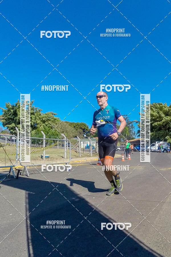 Buy your photos of the eventWolf Series - Botucatu on Fotop