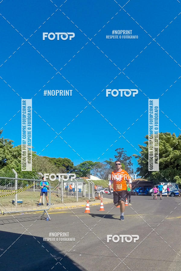 Buy your photos of the eventWolf Series - Botucatu on Fotop