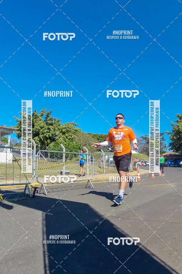 Buy your photos of the eventWolf Series - Botucatu on Fotop