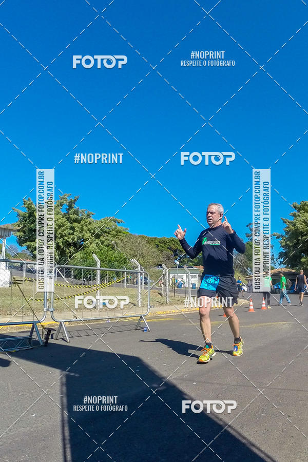 Buy your photos of the eventWolf Series - Botucatu on Fotop