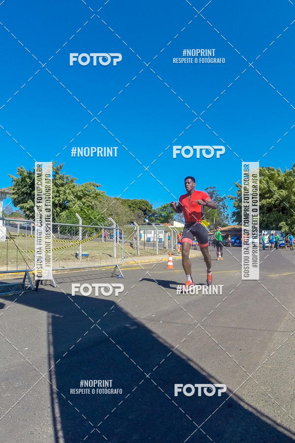 Buy your photos of the eventWolf Series - Botucatu on Fotop