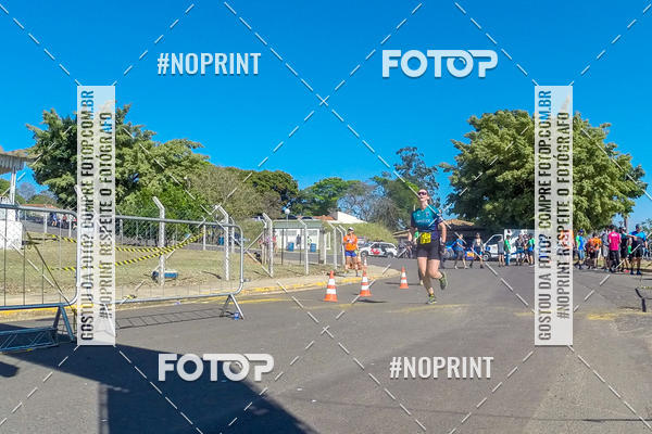 Buy your photos of the eventWolf Series - Botucatu on Fotop