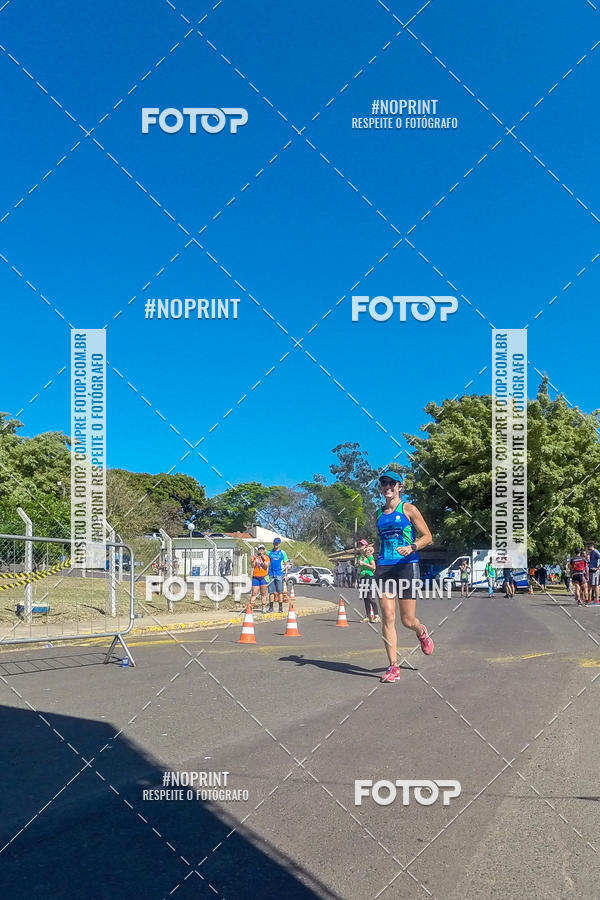 Buy your photos of the eventWolf Series - Botucatu on Fotop