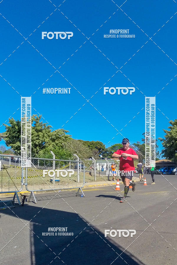 Buy your photos of the eventWolf Series - Botucatu on Fotop