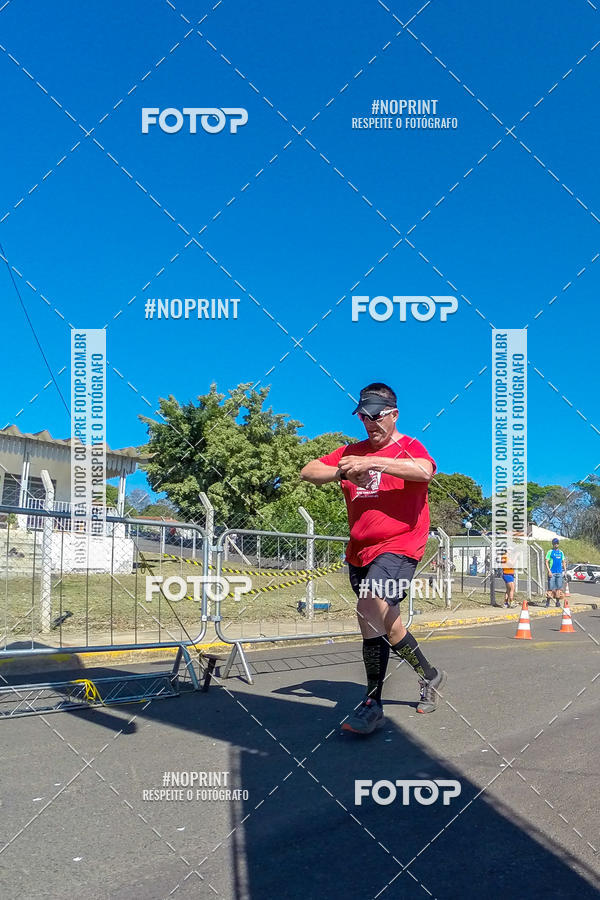 Buy your photos of the eventWolf Series - Botucatu on Fotop