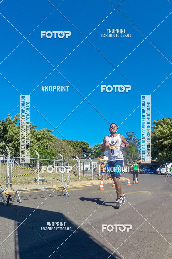 Buy your photos of the eventWolf Series - Botucatu on Fotop