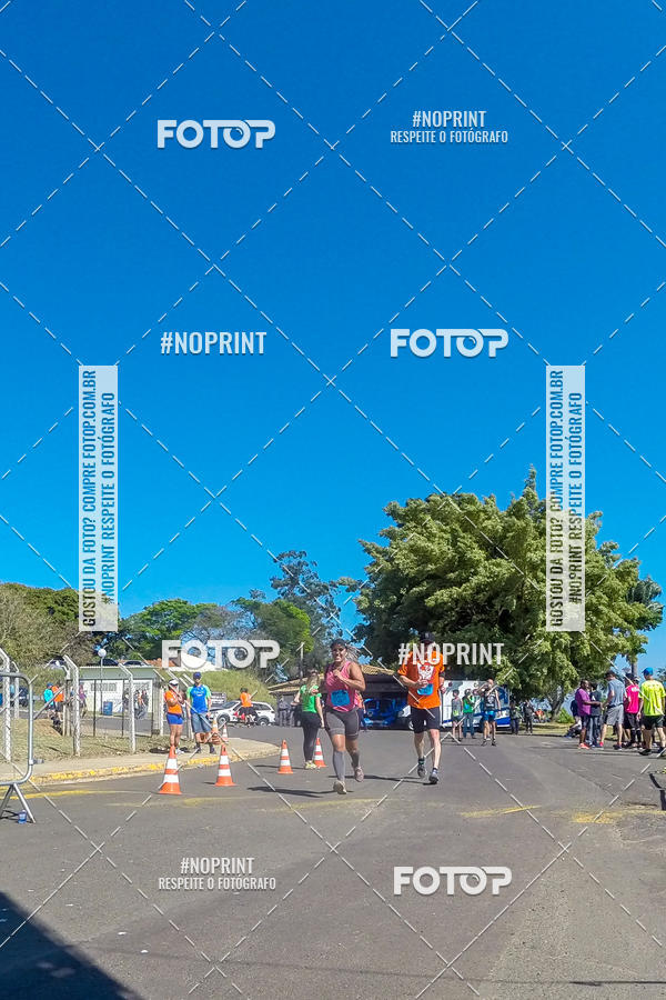 Buy your photos of the eventWolf Series - Botucatu on Fotop