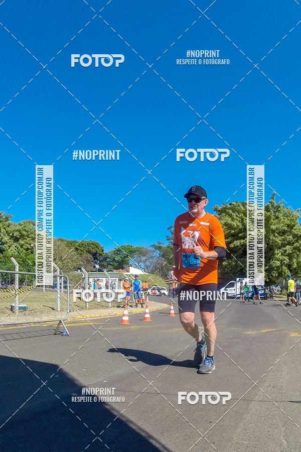 Buy your photos of the eventWolf Series - Botucatu on Fotop