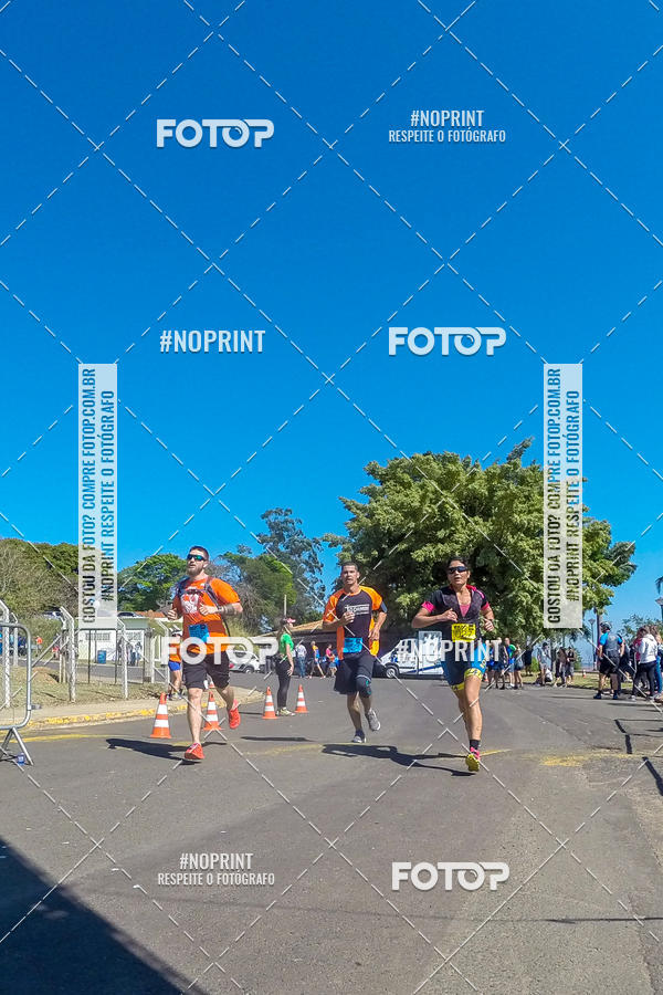 Buy your photos of the eventWolf Series - Botucatu on Fotop