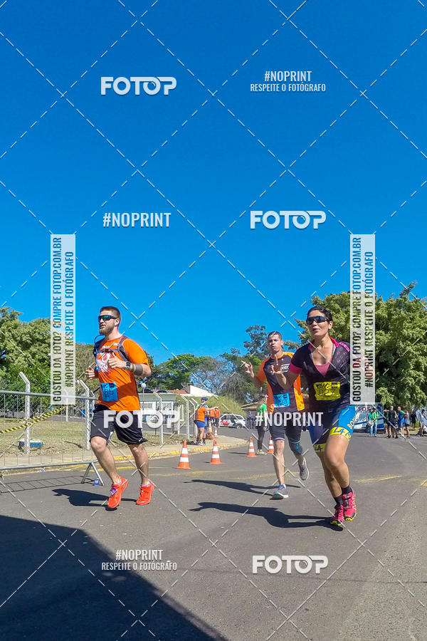 Buy your photos of the eventWolf Series - Botucatu on Fotop