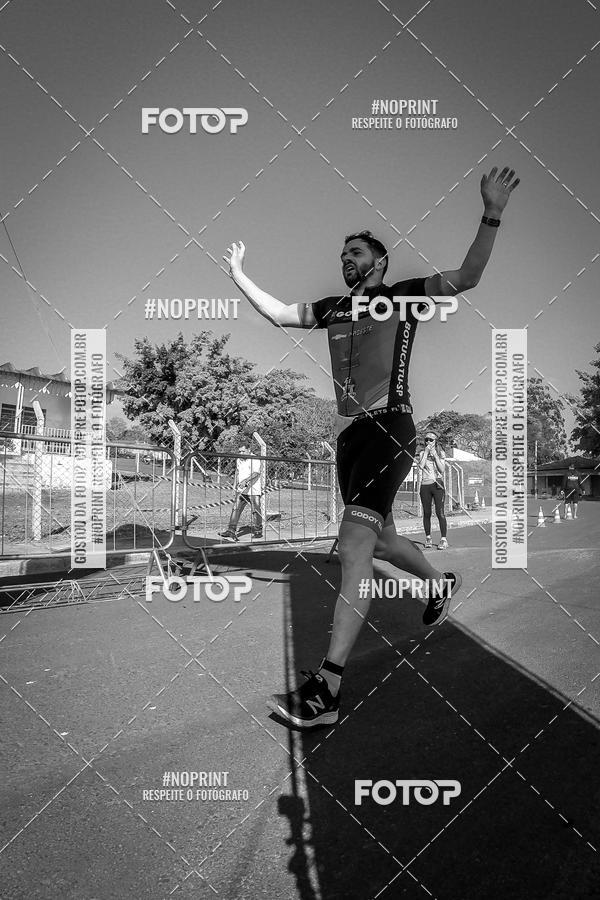 Buy your photos of the eventWolf Series - Botucatu on Fotop