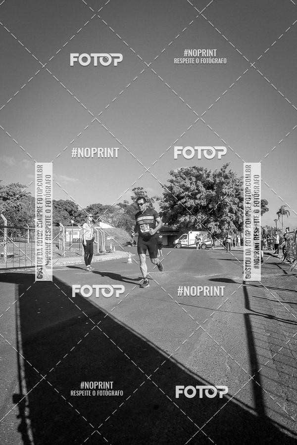 Buy your photos of the eventWolf Series - Botucatu on Fotop