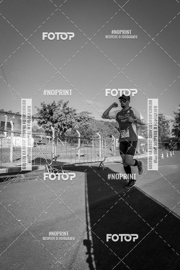 Buy your photos of the eventWolf Series - Botucatu on Fotop