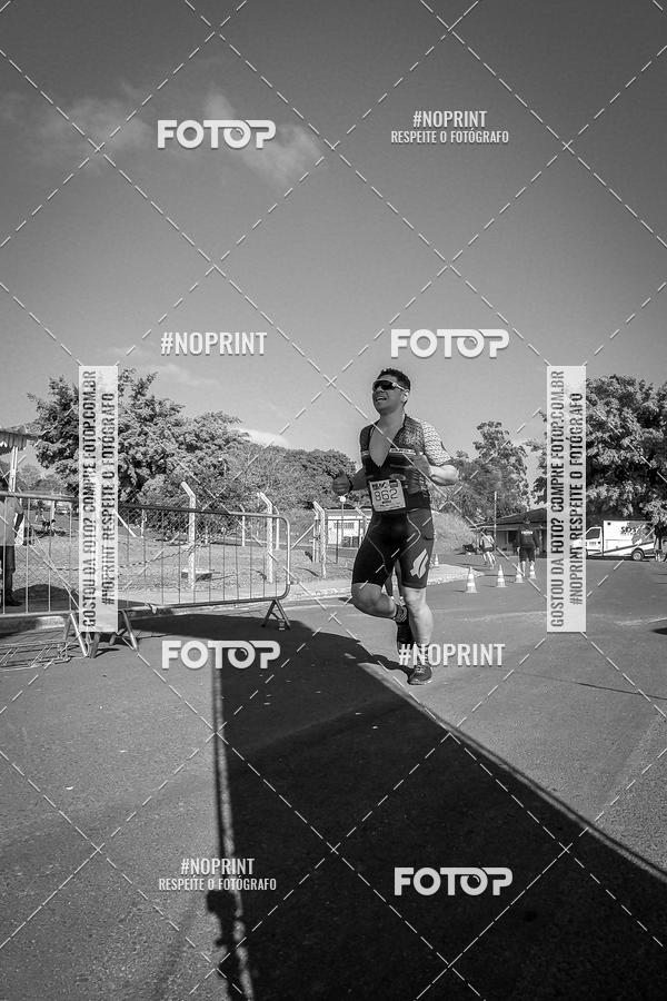 Buy your photos of the eventWolf Series - Botucatu on Fotop