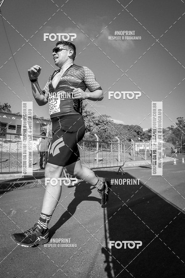 Buy your photos of the eventWolf Series - Botucatu on Fotop