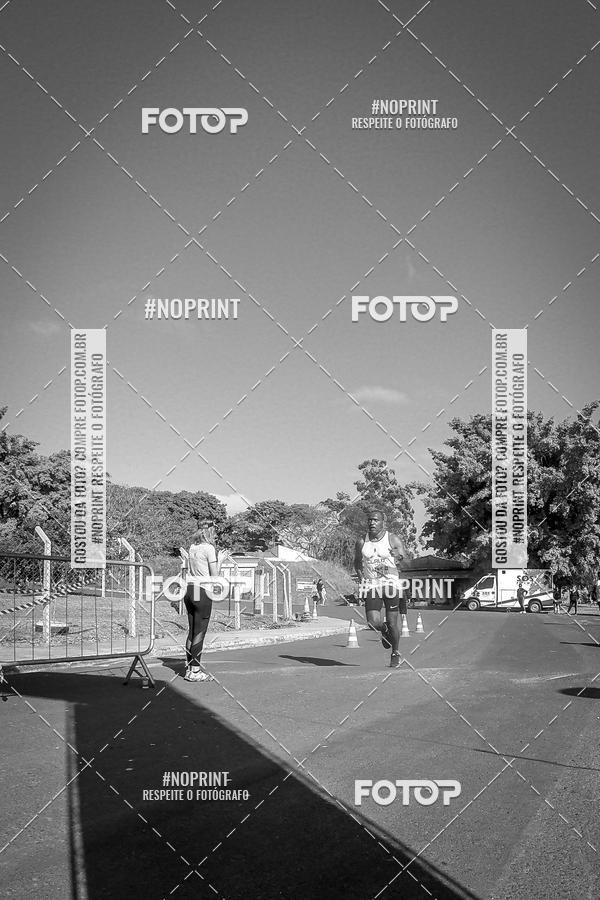 Buy your photos of the eventWolf Series - Botucatu on Fotop