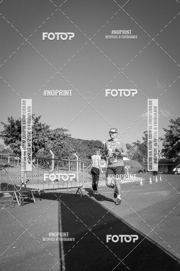 Buy your photos of the eventWolf Series - Botucatu on Fotop