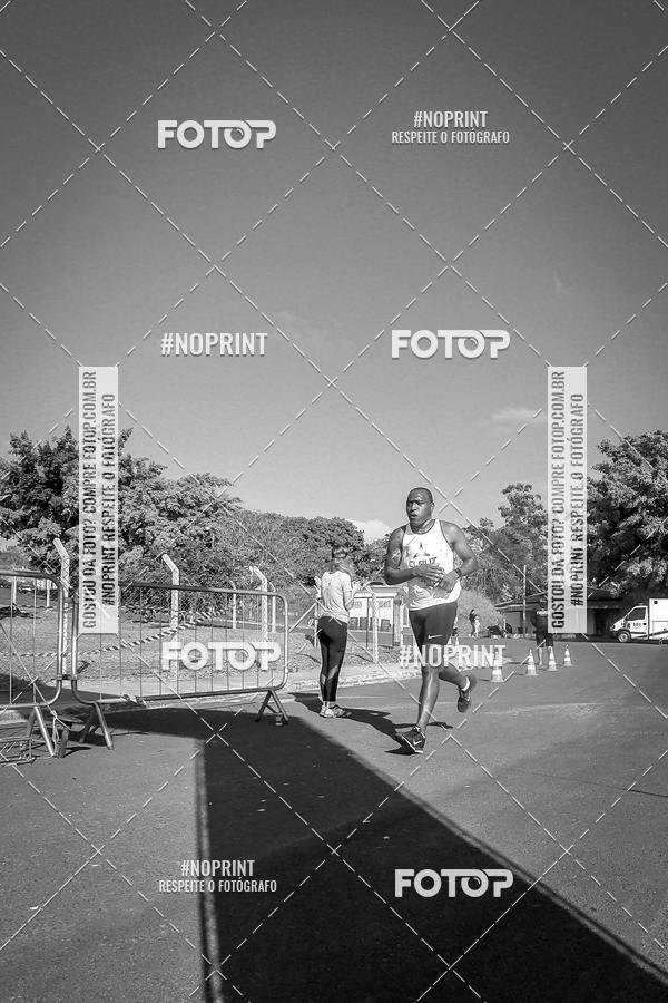 Buy your photos of the eventWolf Series - Botucatu on Fotop