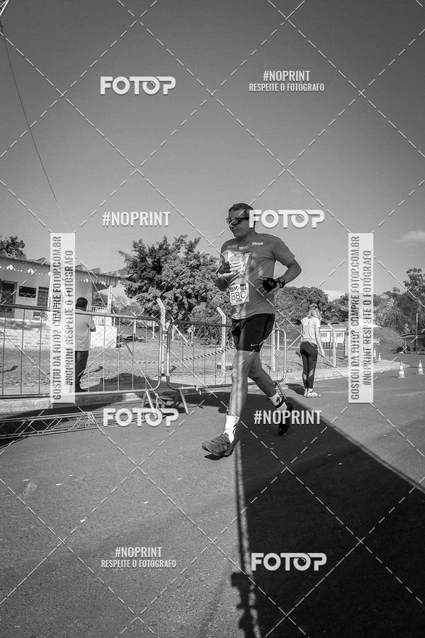 Buy your photos of the eventWolf Series - Botucatu on Fotop