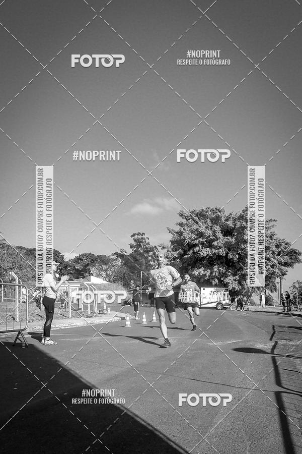 Buy your photos of the eventWolf Series - Botucatu on Fotop