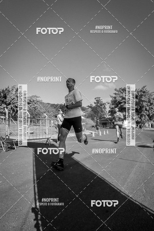 Buy your photos of the eventWolf Series - Botucatu on Fotop