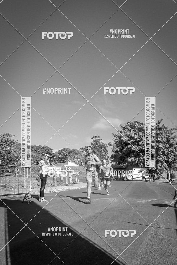 Buy your photos of the eventWolf Series - Botucatu on Fotop