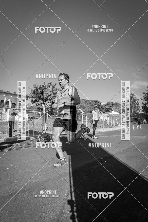 Buy your photos of the eventWolf Series - Botucatu on Fotop