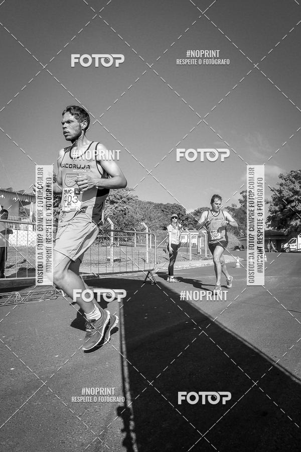 Buy your photos of the eventWolf Series - Botucatu on Fotop