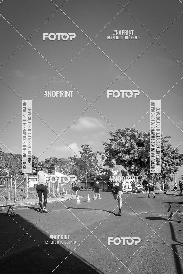 Buy your photos of the eventWolf Series - Botucatu on Fotop