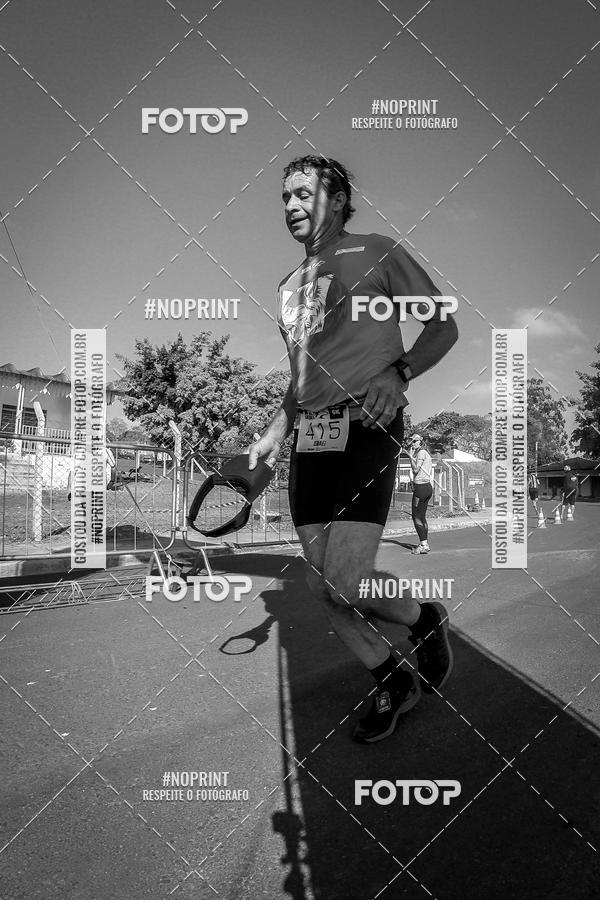 Buy your photos of the eventWolf Series - Botucatu on Fotop