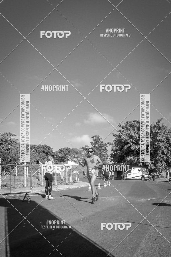 Buy your photos of the eventWolf Series - Botucatu on Fotop