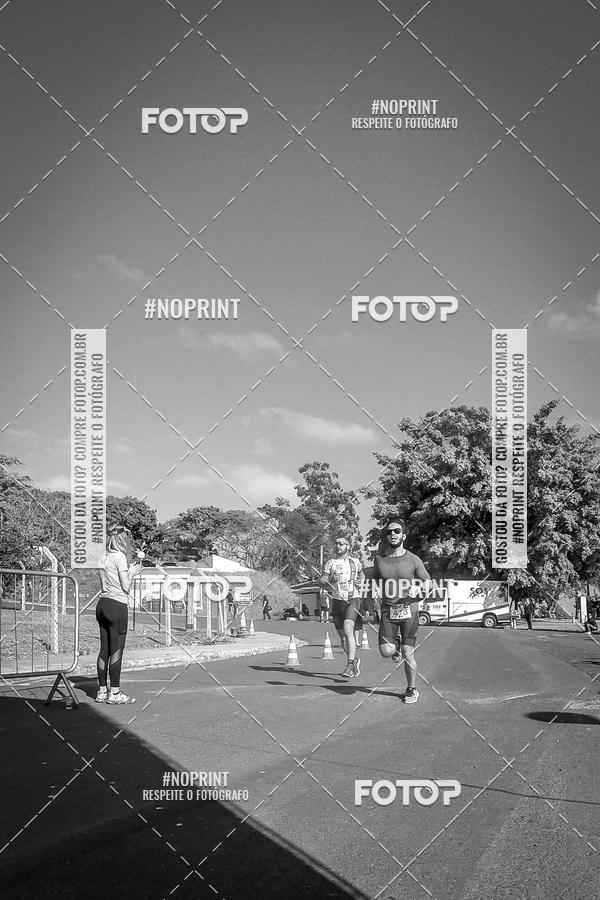 Buy your photos of the eventWolf Series - Botucatu on Fotop