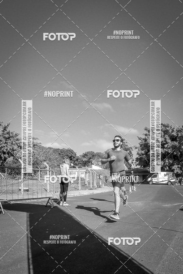Buy your photos of the eventWolf Series - Botucatu on Fotop