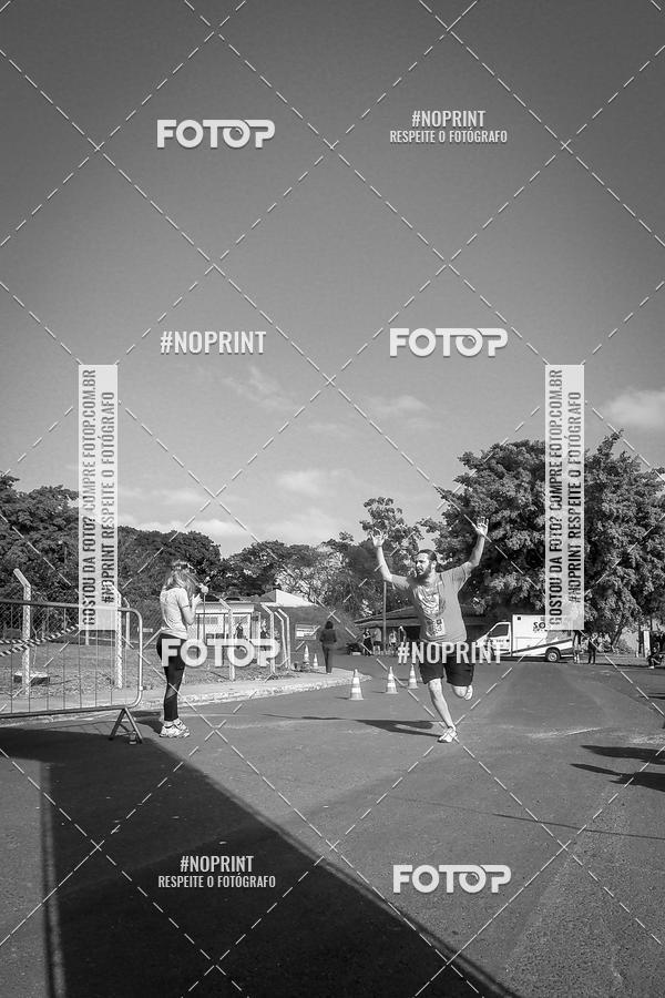 Buy your photos of the eventWolf Series - Botucatu on Fotop