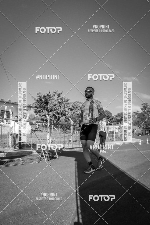 Buy your photos of the eventWolf Series - Botucatu on Fotop