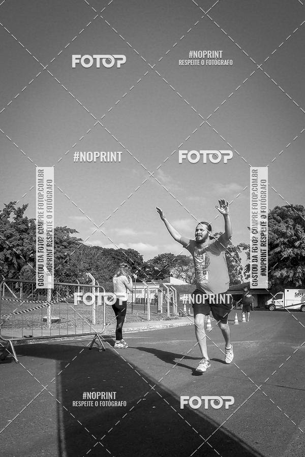 Buy your photos of the eventWolf Series - Botucatu on Fotop