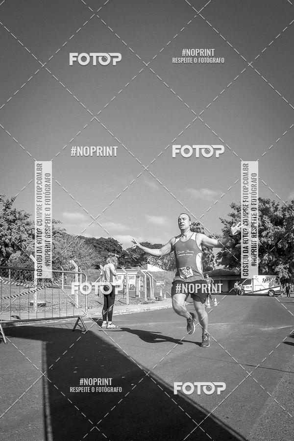 Buy your photos of the eventWolf Series - Botucatu on Fotop